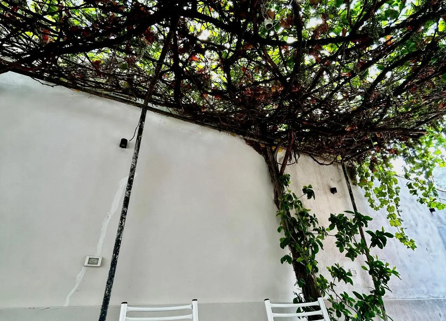 Hostel Plaza Mendoza Argentina